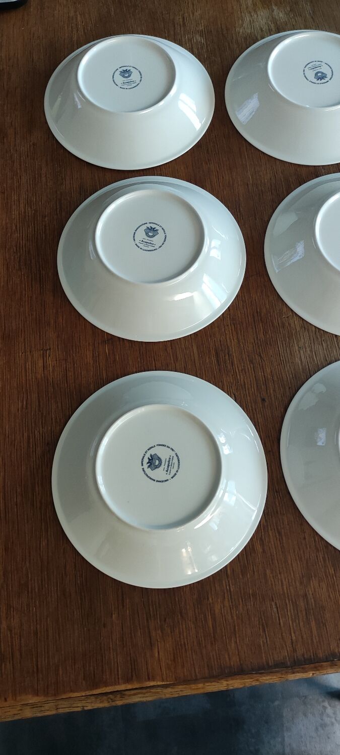 6 hollow plates acapulco villeroy and bosch