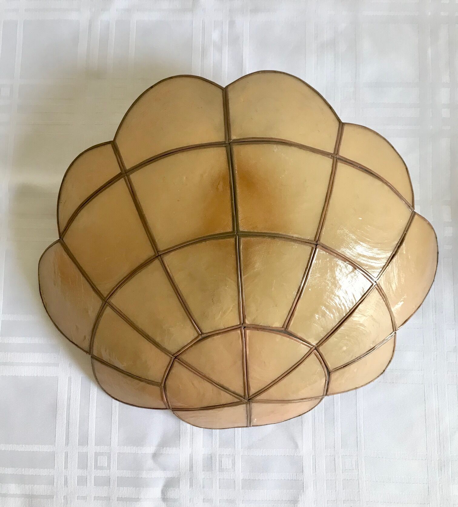 Pair of mother-of-pearl shell sconces