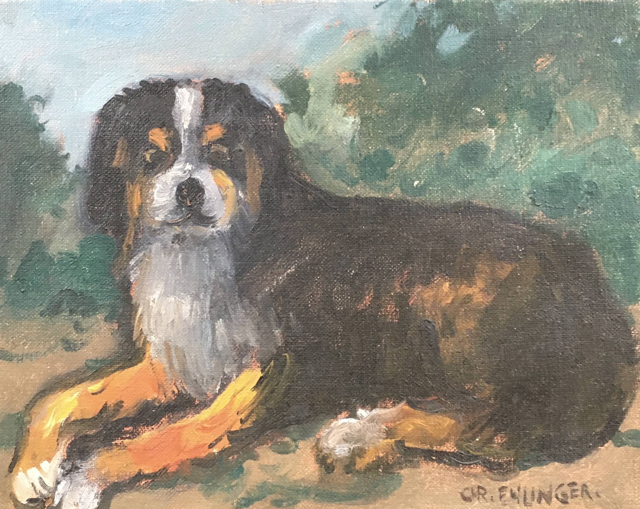 Lying cattle dog painting