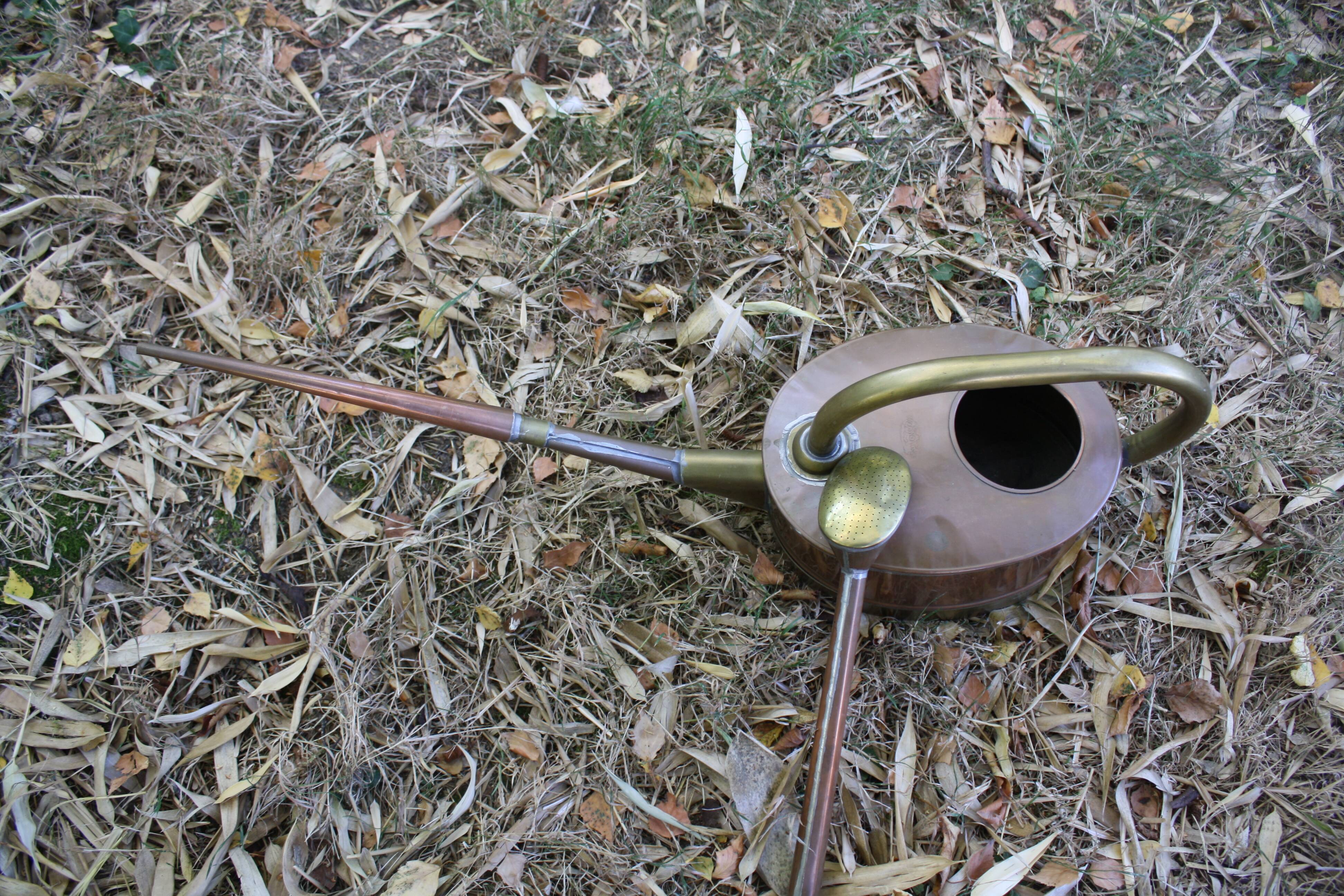 Vintage copper watering can