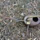 Vintage copper watering can