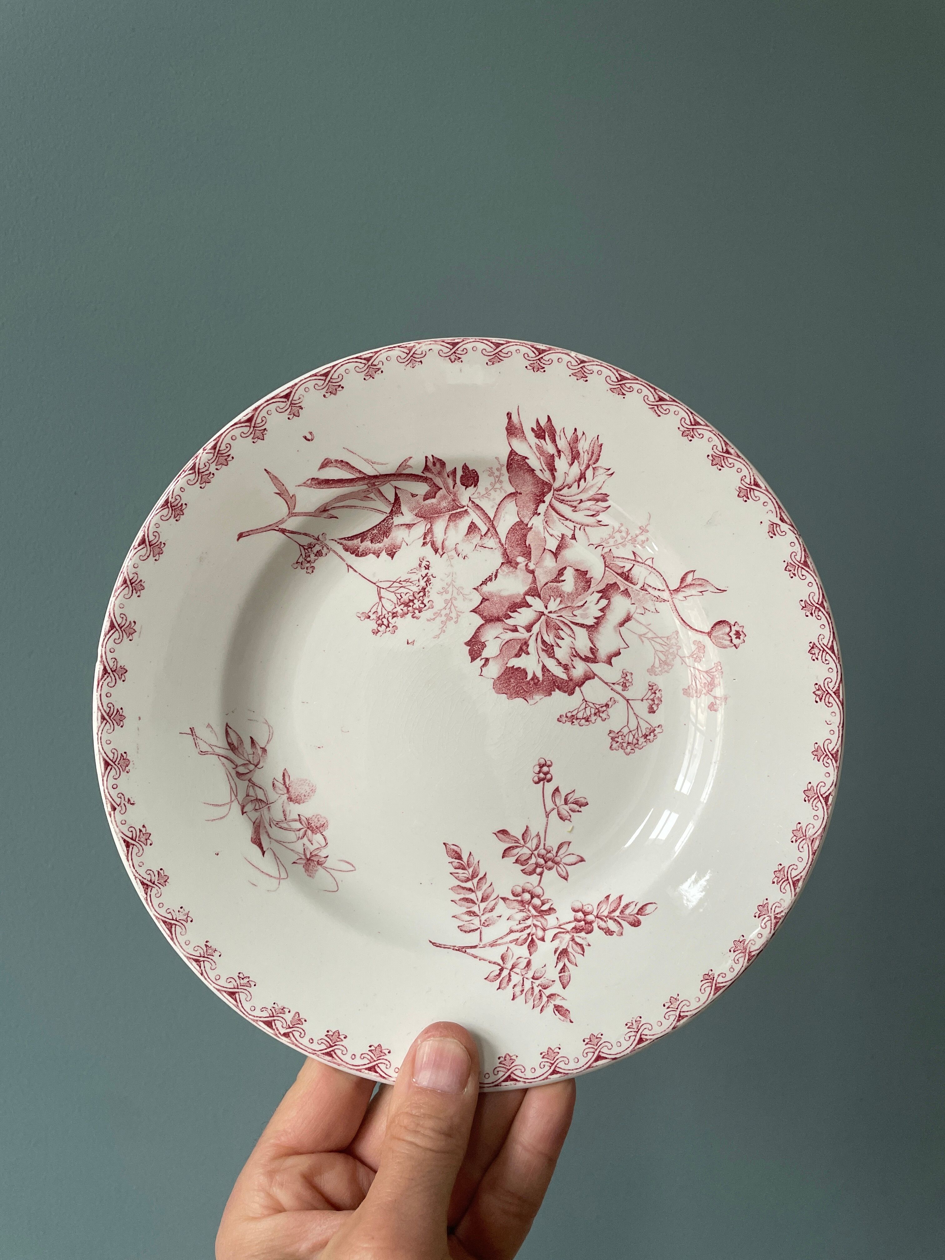 Set of 4 flat plates "Vega" U&C Sarreguemines
