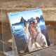 Plexi magazine holders