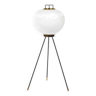 Stilnovo floor lamp 1950