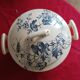 antique soup tureen Terre de Feu 1920/1930 with a decoration of birds and insects