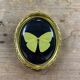 Butterfly under curved frame