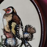 Goldfinch bird frame