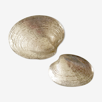 Two shells in silver