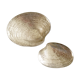 Deux coquillages en argent massif