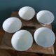 Longchamp porcelain bowl