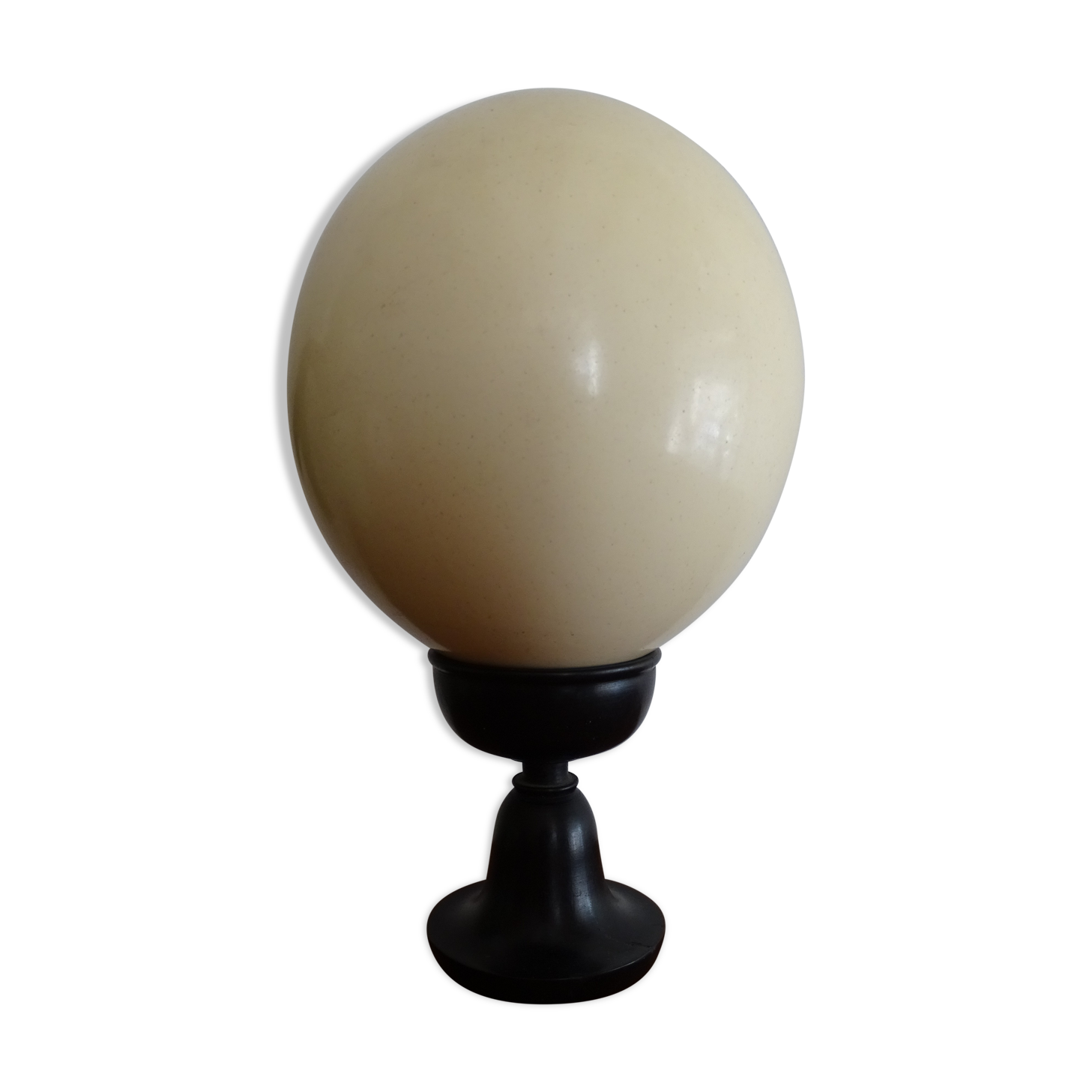 Ostrich egg on blackened wooden base - object of curiosity