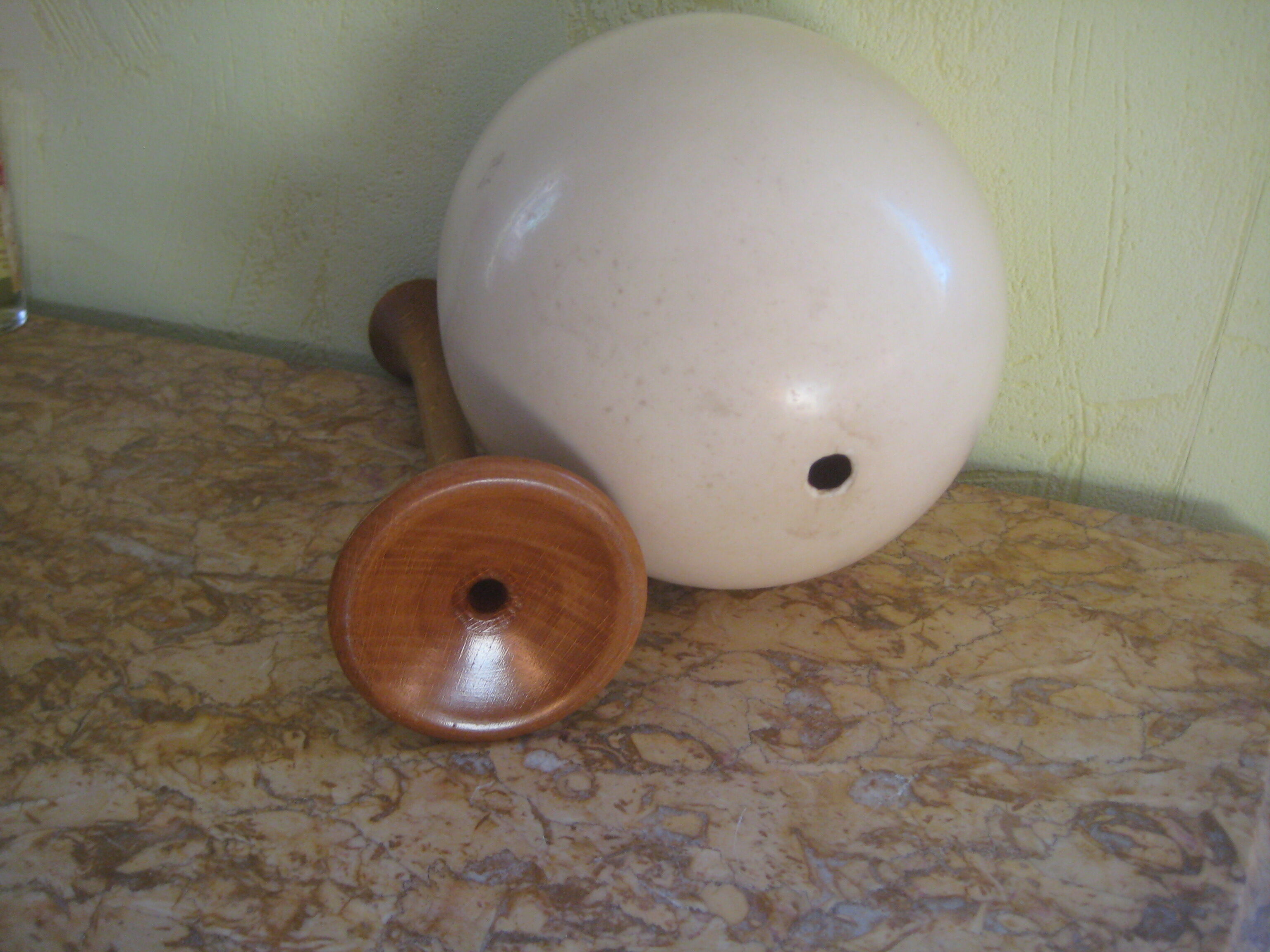 Ostrich Egg And Its Presentation Base