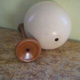 Ostrich Egg And Its Presentation Base