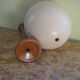 Ostrich Egg And Its Presentation Base