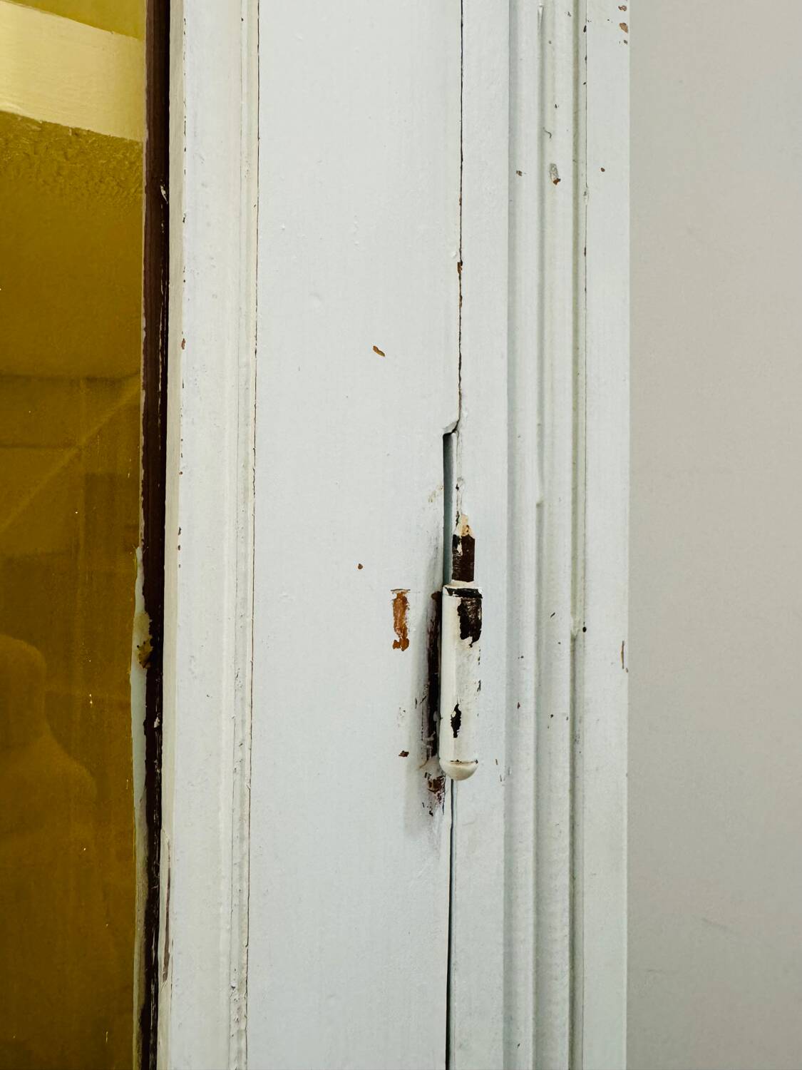 Parisian wardrobe with two glass doors