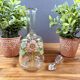 Glass carafe with enamel floral decoration and stopper – vintage