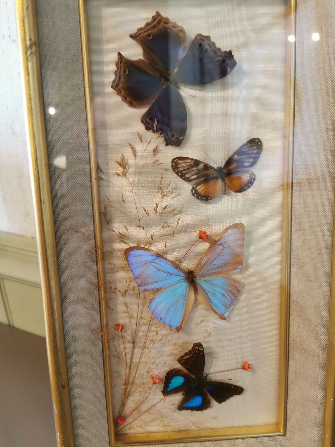 Vintage butterfly frame