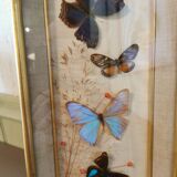 Vintage butterfly frame
