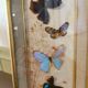 Cadre papillons vintage