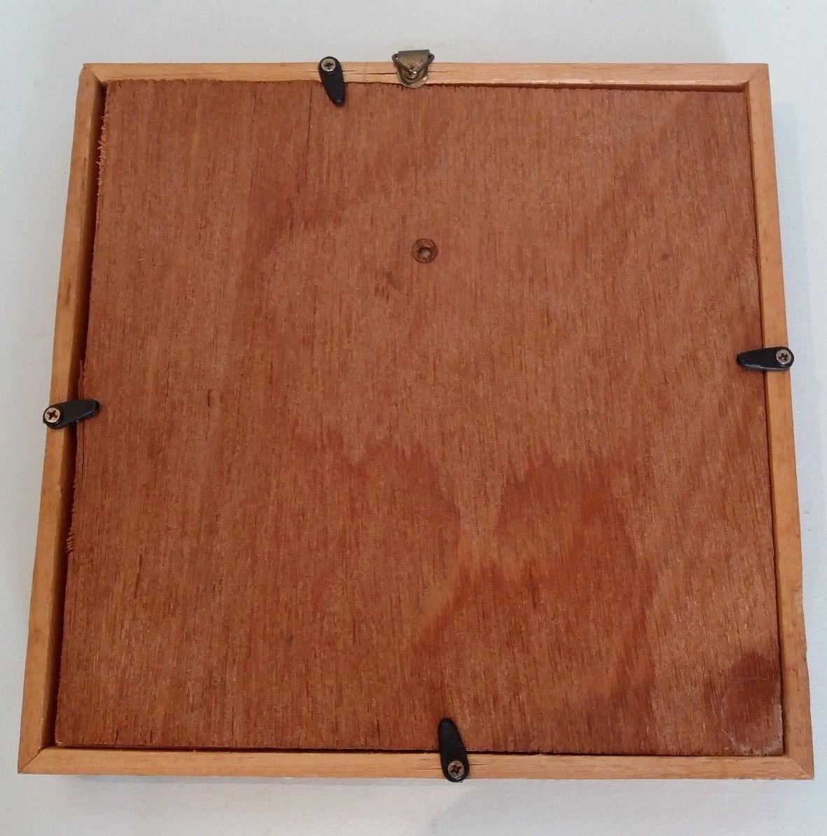 Butterfly frame with byasa polyeuctes termessus