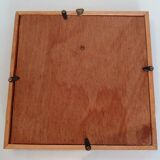 Butterfly frame with byasa polyeuctes termessus