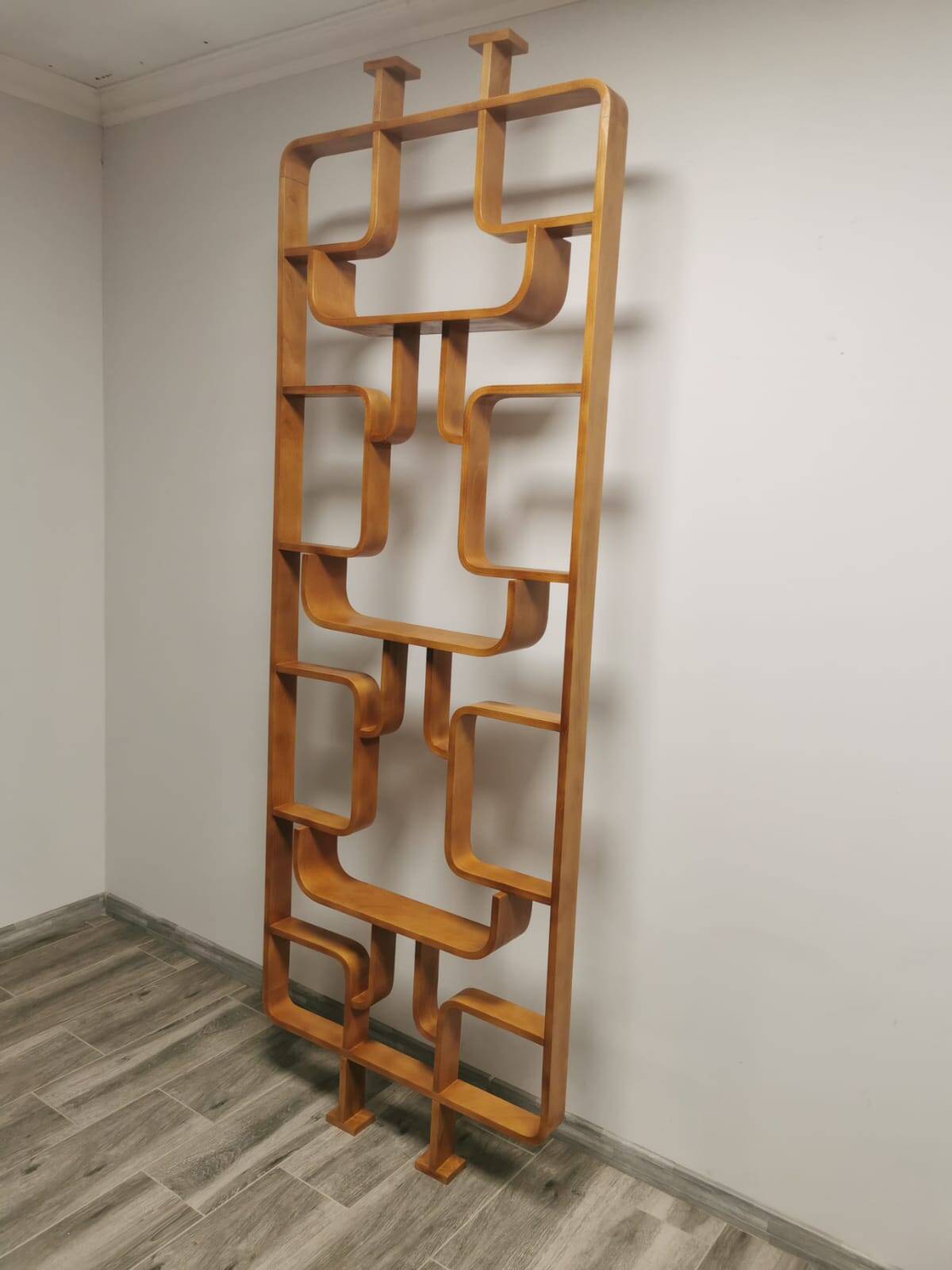 Room Dividers by Ludvik Volak for Drevopodnik Holesov, 1950s, Set of 2