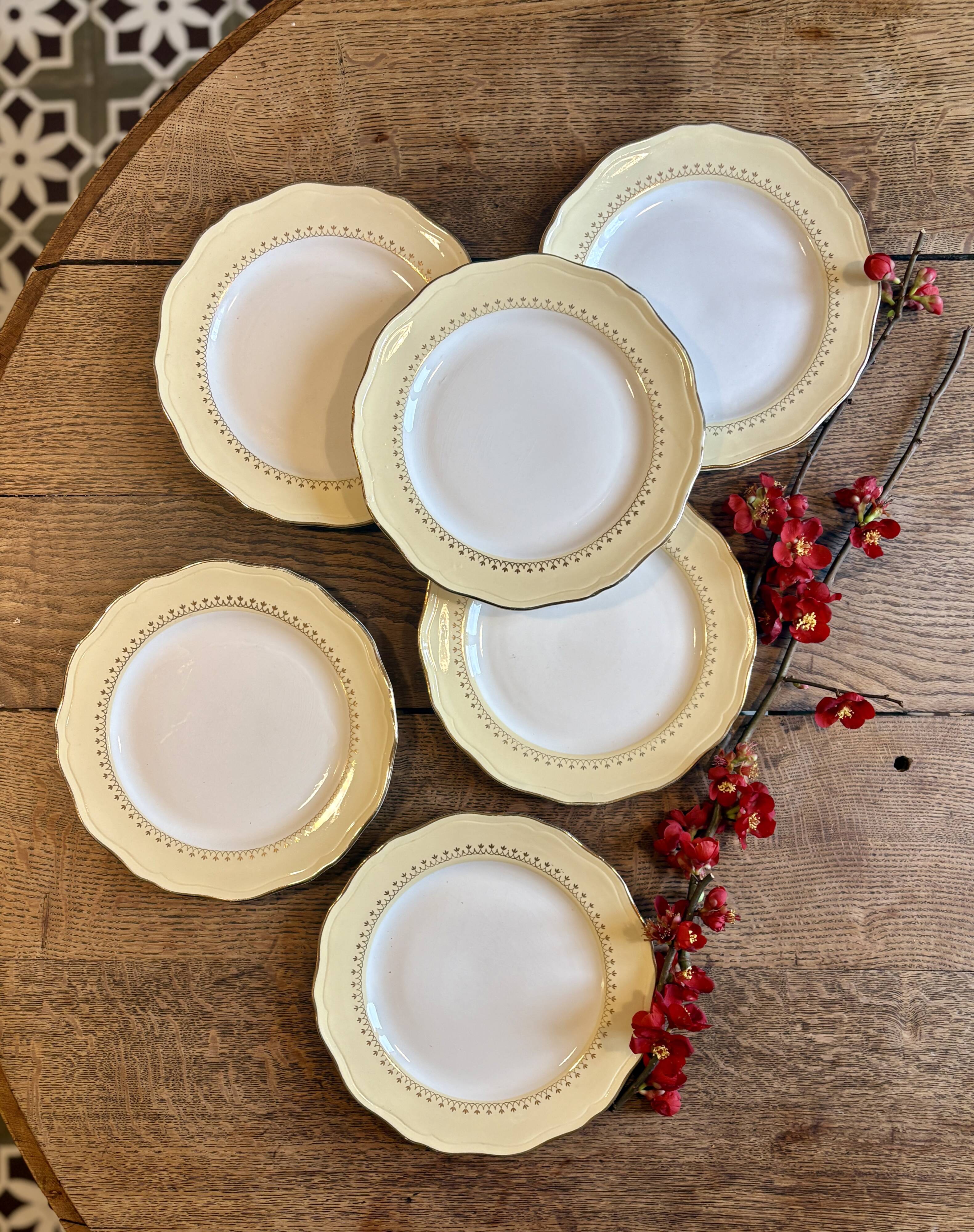 Set of 6 vintage white dinner plates with yellow and gold trim.