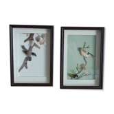 Set of 2 paintings