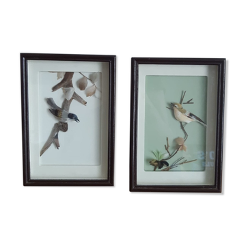 Set of 2 paintings