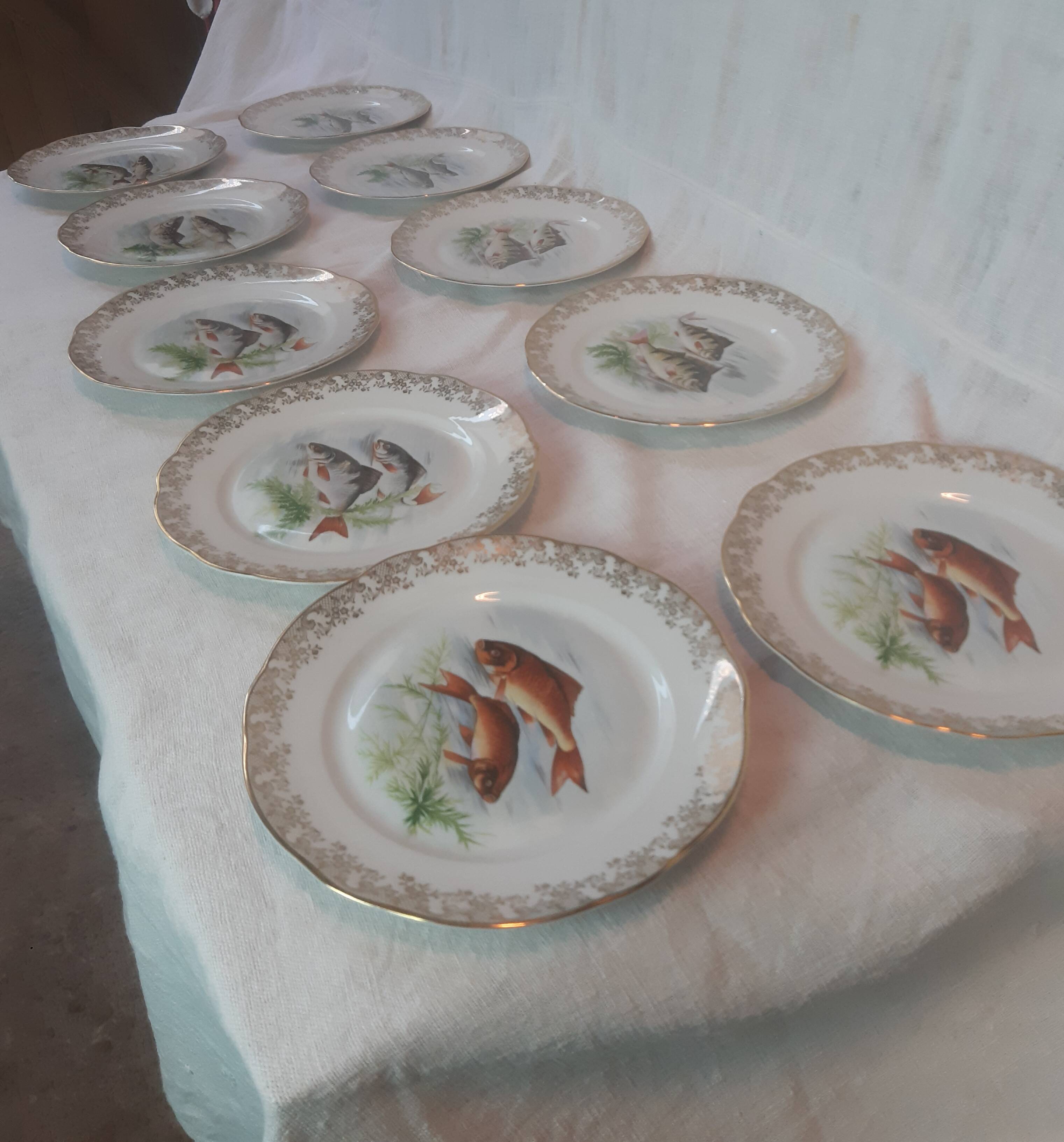 Lot of fish plates