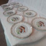 Lot of fish plates