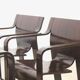 Set of four Strip dining chairs with dark brown ash armrests by Gijs Bakker for Castelijn