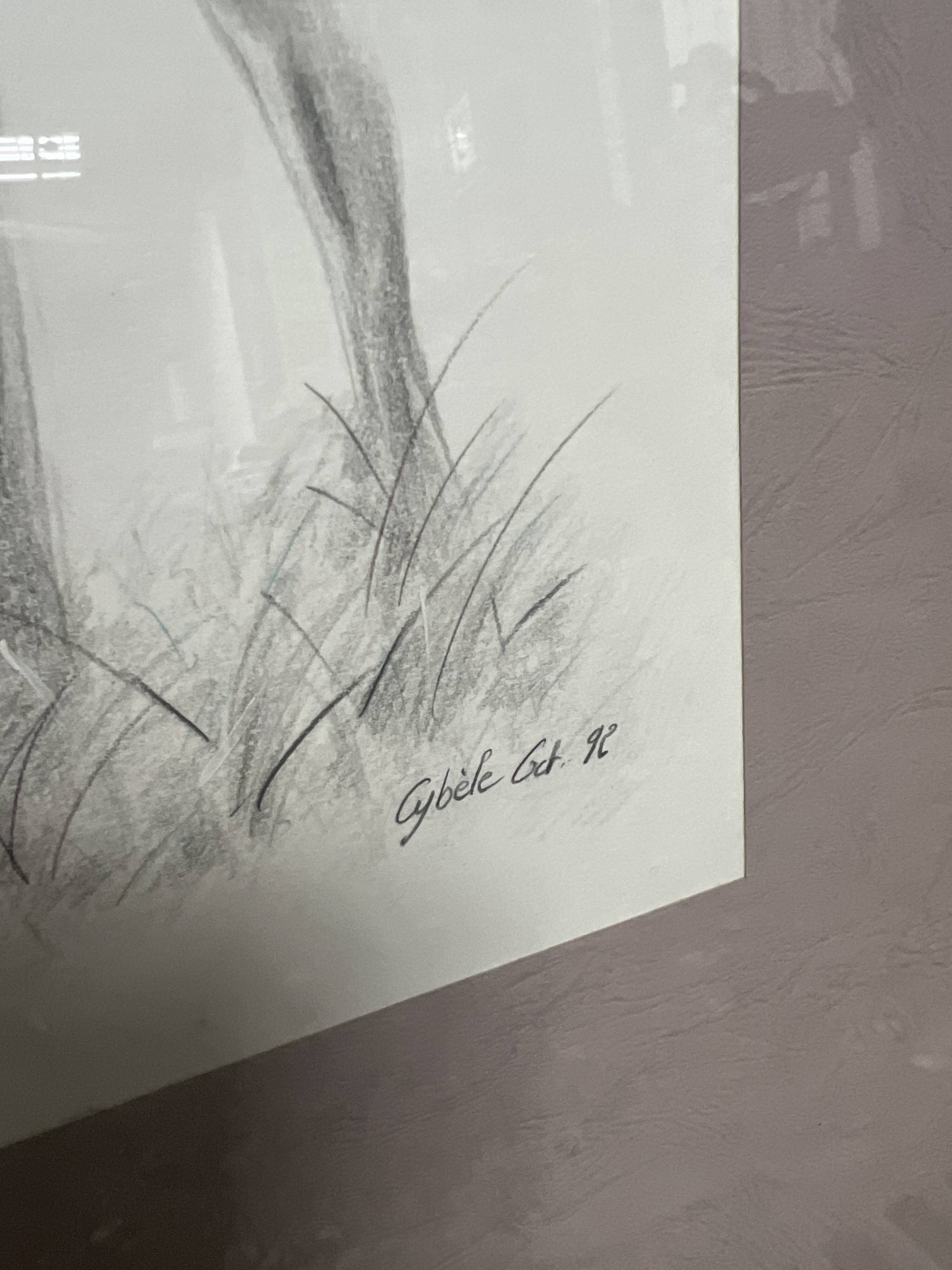 Framed animal drawing signed Cybèle