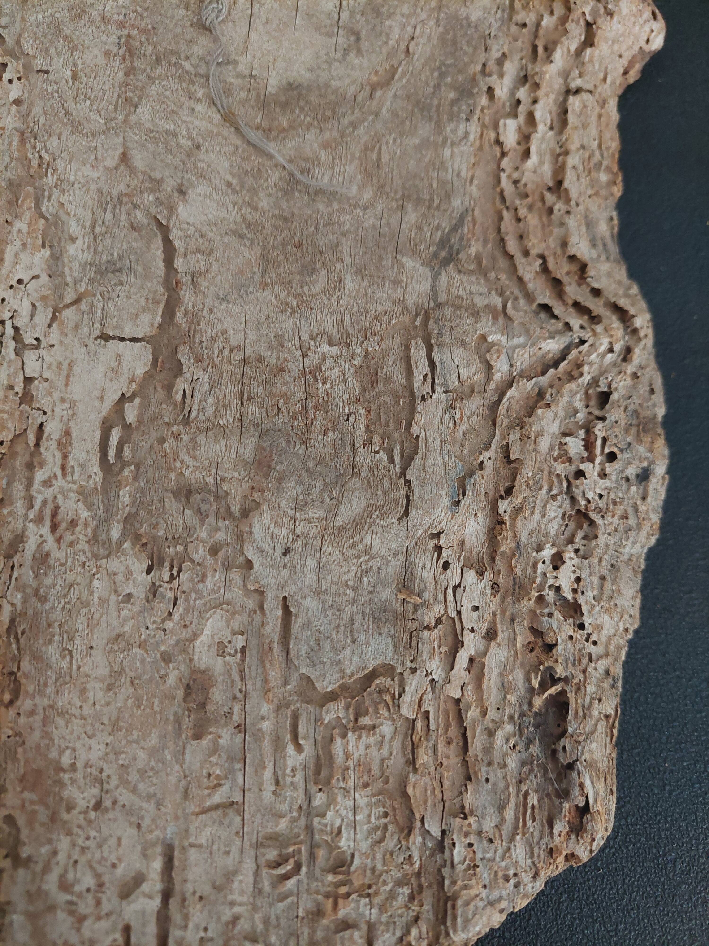 18th century carved wooden panel from Eastern Europe
