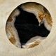 Empty pocket or dish in medium petrified wood