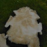 Two vintage sheepskins.