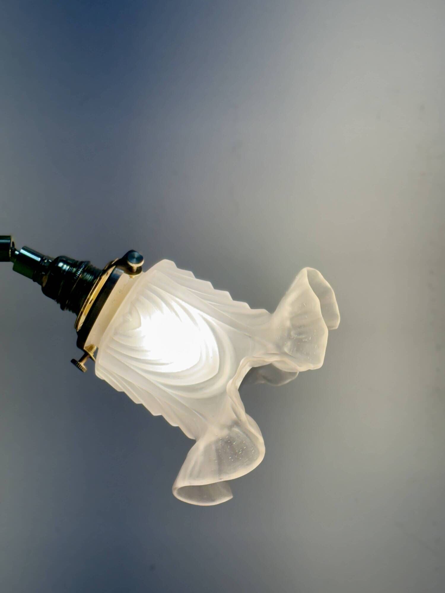 Vintage frosted glass tulip wall light (APJ1)