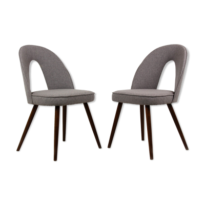 Chaises de salle à manger par Antonín Šuman pour Tatra, années 1960, Set de 2