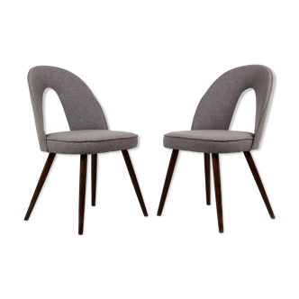 Dining Chairs by Antonín Šuman for Tatra, 1960s, Set of 2