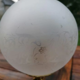 Lampe globe