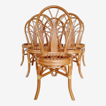 Set of 6 chairs