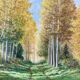 Green landscape signed in 2008