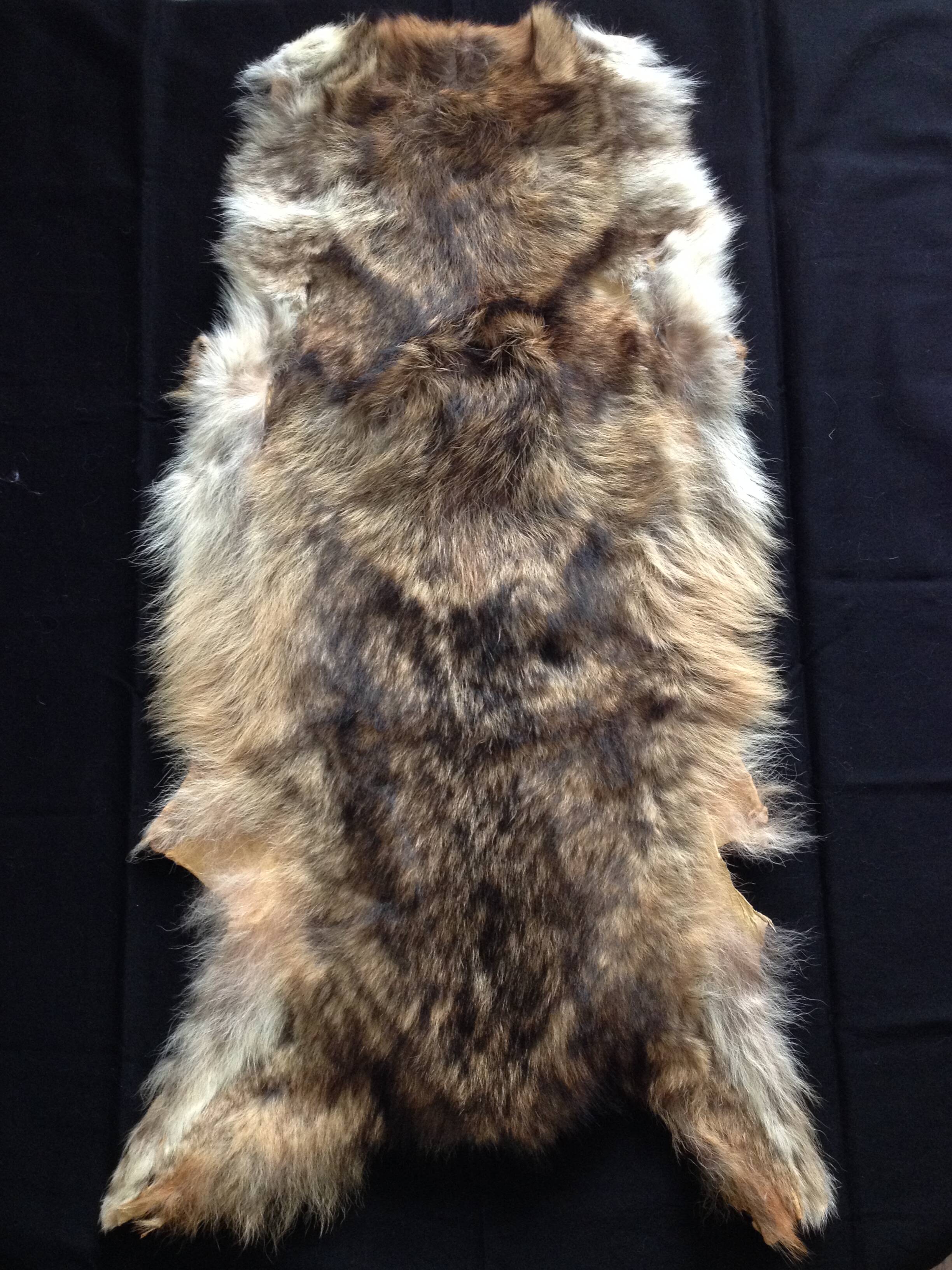 Vintage fox skin no. 1