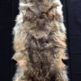 Vintage fox skin no. 1