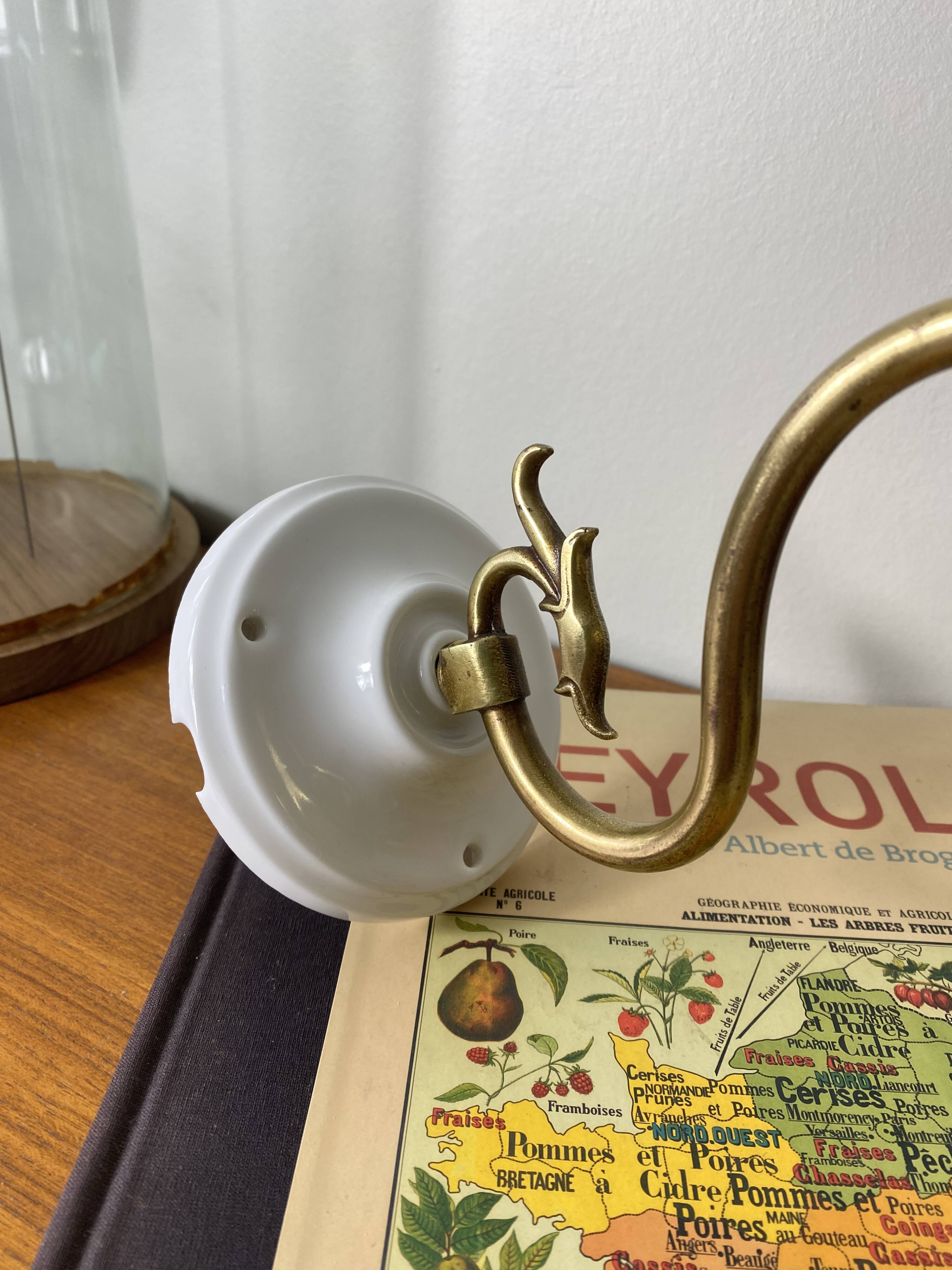 Swan neck wall light in brass with rose petal glass shade.