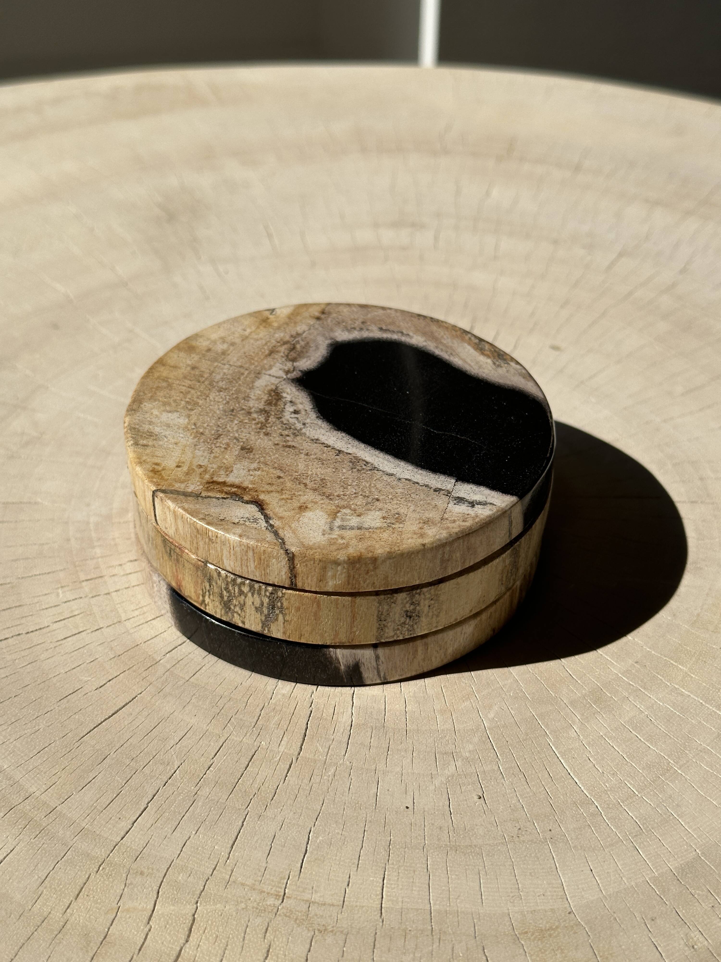 Set of 3 fossilized wood coasters (clear)