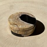 Set of 3 fossilized wood coasters (clear)