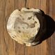 Round beige petrified wood bowl D21- 3780