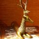 Cerf laiton massif