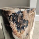 Side table in petrified wood